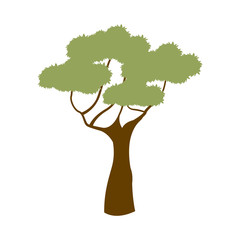 green tree african natural forest flora vector illustration