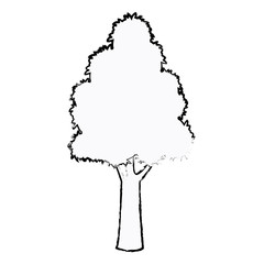 Fototapeta premium tree plant botanic foliage sketch vector illustration