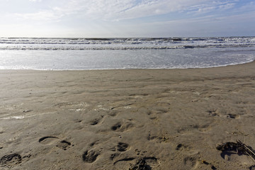 beach landscape on a sunny day