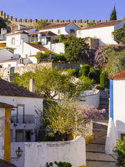 Fototapeta na wymiar Street in Obidos, Portugal