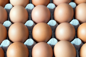 Brown chicken eggs in cardboard box