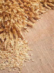 The seeds and spikelets.