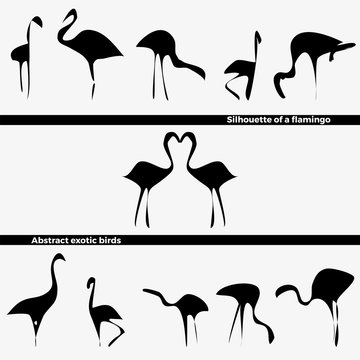 Vector set of logo in the form of a silhouette of tropical flamingo birds on a white background