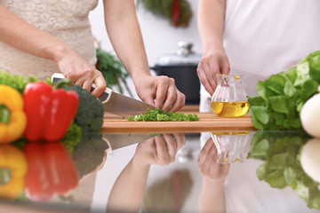Closeup of two women are cooking in a kitchen. Friends having fun while preparing fresh salad.
