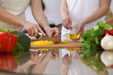 Closeup of two women are cooking in a kitchen. Friends having fun while preparing fresh salad.