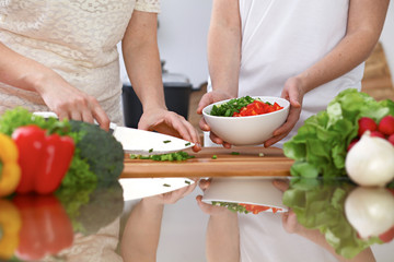 Closeup of two women are cooking in a kitchen. Friends having fun while preparing fresh salad.