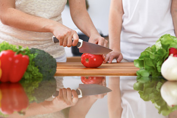Closeup of two women are cooking in a kitchen. Friends having fun while preparing fresh salad.