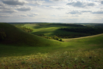 Fototapeta na wymiar Meadows and fields of Russia.