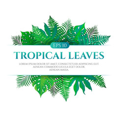 Tropical leaves frame design with place for text isolated on white background. Vector illustration in hand drawn cartoon style. Can be used for design your website or print publications and other.