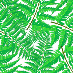Vector seamless pattern of tropical palm leaves isolated on white background. Vector illustration in hand drawn cartoon style. Can be used for printing on textile or gift wrap and wallpapers.