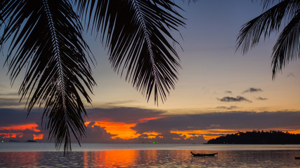 Obraz na płótnie Canvas The sun's rays passing through the palm branch. Tropical trees on the coast. Sunset time