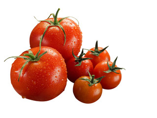 Tomato Isolated on white background