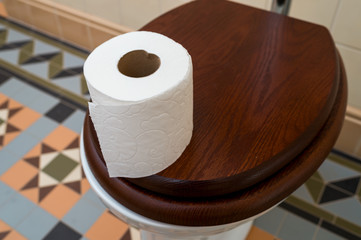 Roll of toilet paper on the toilet