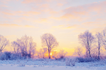 winter landscape