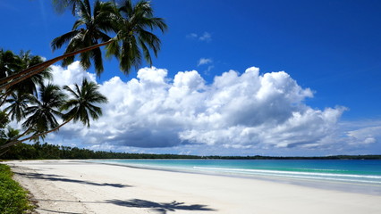 tropischer Traumstrand mit Palmen, weißem Sand  und türkisblauem Meer