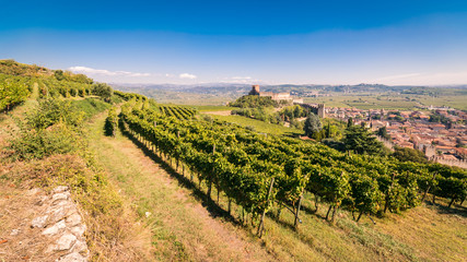 Fototapeta na wymiar View of Soave (Italy) and its famous medieval castle.