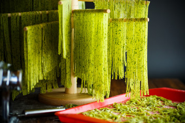 Homemade noodles green with greens