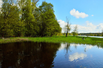 Fototapeta na wymiar Rzeka i brzeg z trawą z niebem z chmurami.
