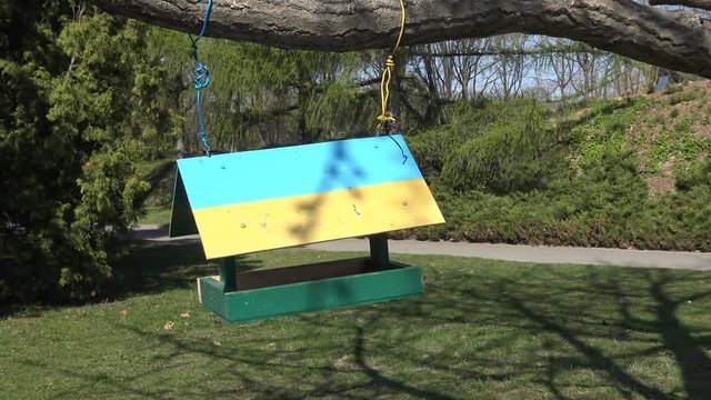 00:00 | 00:21 1&times;  Bird feeder, painted in yellow-blue color