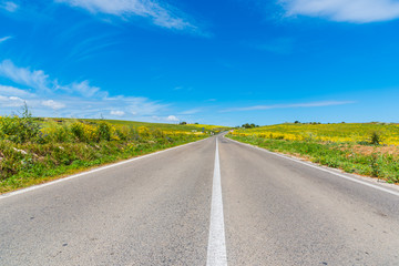 Clear sky over a country road