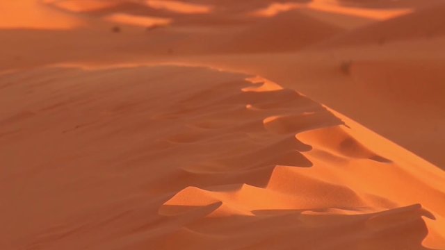 deserto sahara