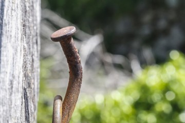 Clavo oxidado clavado en madera.