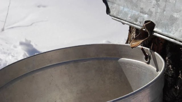 L'eau d'&eacute;rable coule dans la chaudi&egrave;re, pr&ecirc;t pour la cabane &agrave; sucre