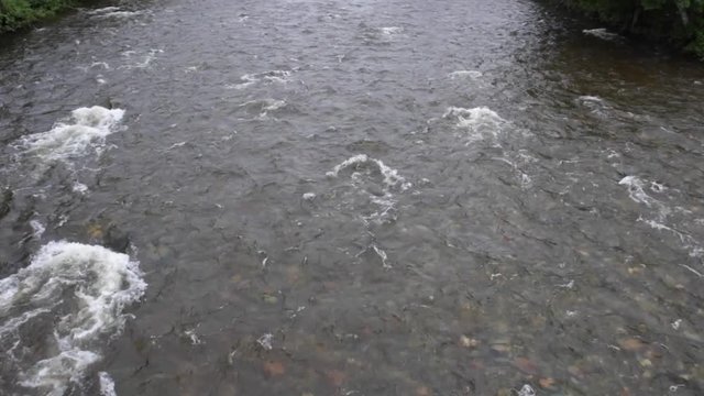 L'eau coule dans une rivi&egrave;re &agrave; saumon au qu&eacute;bec, rivi&egrave;re cap-chat
