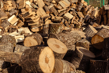 Birch log and billet