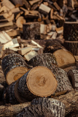 Birch log and billet