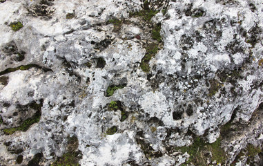 A piece of limestone exposed to the weather