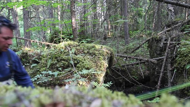 Un p&ecirc;cheur traverse une for&ecirc;t pour ce rendre &agrave; la rivi&egrave;re
