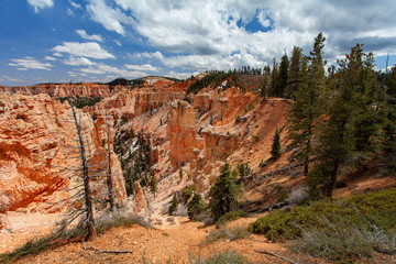 Bryce Canyon National Park, Utah, United States of America