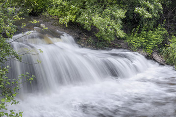Obraz premium This small waterfall, swollen with spring rains and surrounded with blooming honeysuckle, flows in Englewood, Ohio.