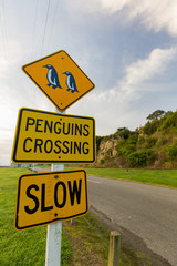 Penguins Crossing Schild Slow in Neuseeland