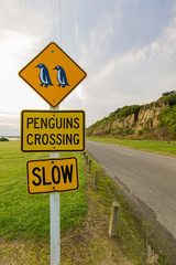 Penguins Crossing Schild Slow in Neuseeland