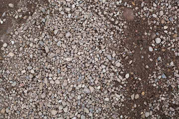 Pebbles on the ground.