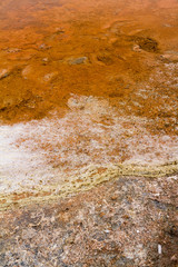 Detail of a salt flat, with visible water and earth