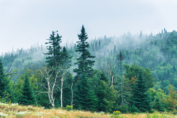 Hiking on a foggy day in Mont Tremblant National Park - Stock image