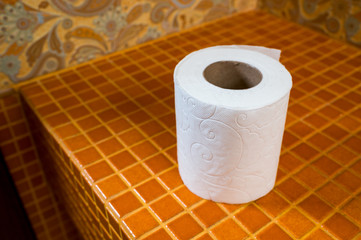 Roll of white toilet paper on the surface