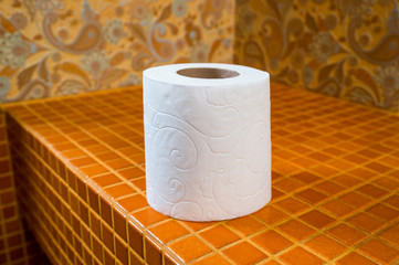 Toilet paper on the tile
