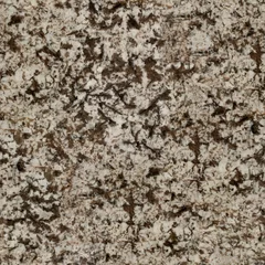  Luxuty brown granite background. Seamless square texture, tile ready. © Dmytro Synelnychenko