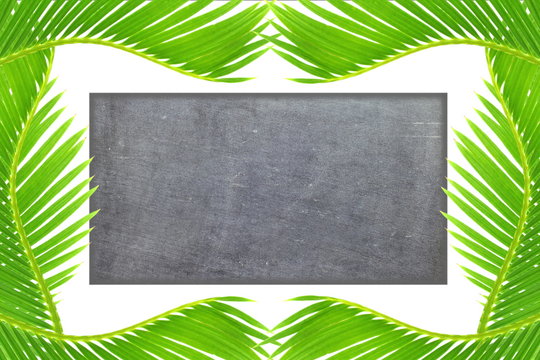 blackboard background with palm coconut leaves frame with text copy space