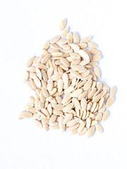 Cucumber seed on white isolated background