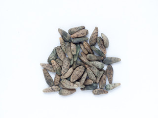 Japanese burdock seed on white isolated background