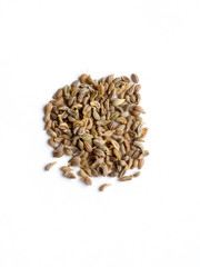 Parsley seed on white isolated background