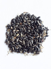 Lemon balm seed on white isolated background