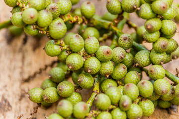 Dried of rattan fruit on wooden board,agriculture productv