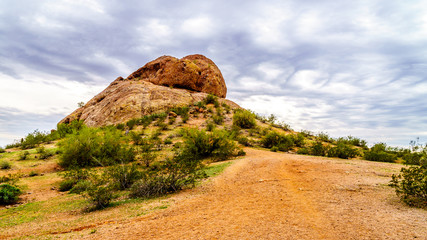 Fototapeta na wymiar Erosion of the Red Sandstone Buttes created interesting Rock Formations in Papago Park near Phoenix Arizona