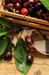 Prunus avium Cereja Amarene Cerise Czereśnie Visciole Cereza Cerasa Cireş Ciliegia Cherry Marasche κέρασος Kirsebær Kirazgiller Вишня плод Amarena Ciliege